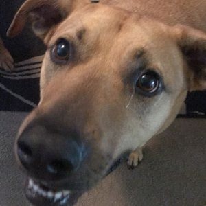 Meet your Posher, Zach